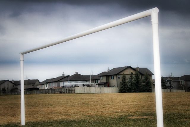 他的出色发 他的出色发