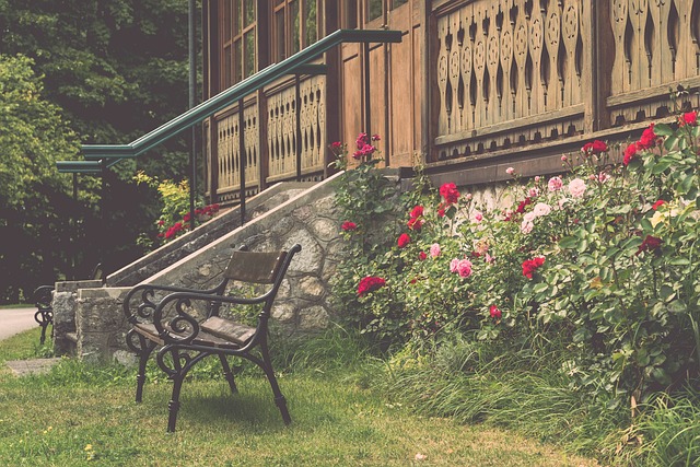 为球队在阵 为球队在阵